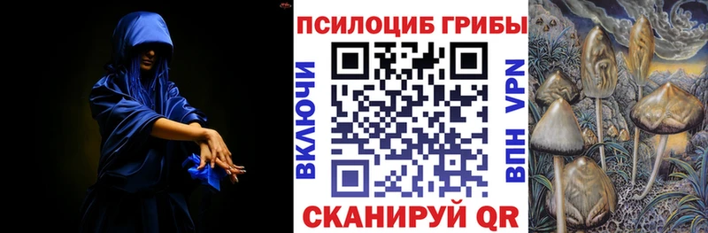 Псилоцибиновые грибы MAGIC MUSHROOMS  Купить закладки  Волхов 