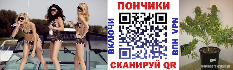 Бошки Шишки планчик  Купить  Волхов 